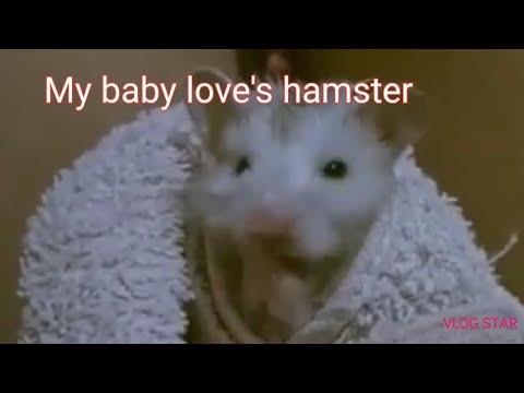 ligo time my baby love's hamster||Jinz channel