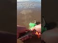 This Baby Shark Was Tangled in a Fishing Net