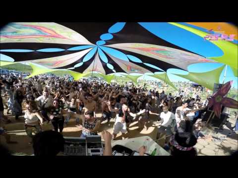 qlipadelic Psy-Fly 09.06.17