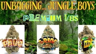 Premium Eighths from JUNGLE BOYS - UNBAGGED LIVE | Cannabis with Kronik | Jungle Boys FLORIDA