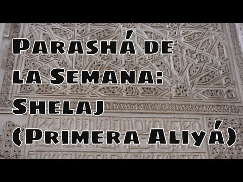 Parashat Shelaj en Español