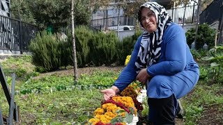 Üzeller Güzeli̇ Çi̇çekleri̇m Çesi