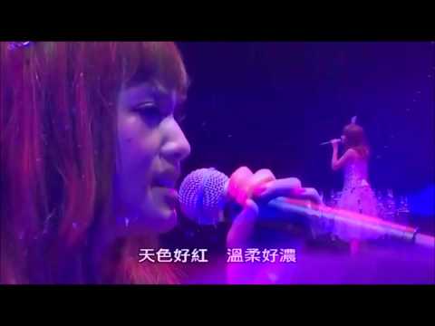 匿名的好友Live 楊丞琳十年有丞異想天開Live DVD