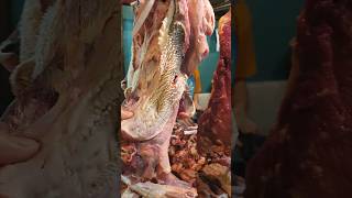 AMBOKSEENG HARGA DAGING KEPALA SAPI LOKAL