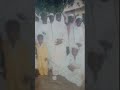 El hadj chouab toure sourate sajidat