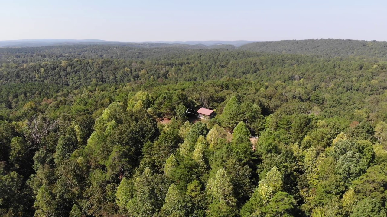 Hunting Land in Blount County, Alabama YouTube