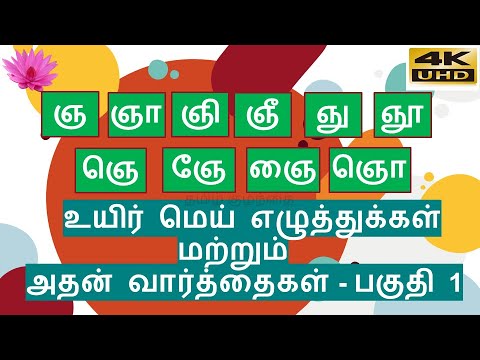 தமிழ்-ஞ வரிசை உயிர் மெய் எழுத்துக்கள்-பகுதி 1(ஞ முதல் ஞொ வரை)/nja varisai uyir mei eluthukkal 4K UHD