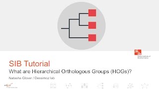 OMA browser -  What are Hierarchical Orthologous Groups (HOGs)