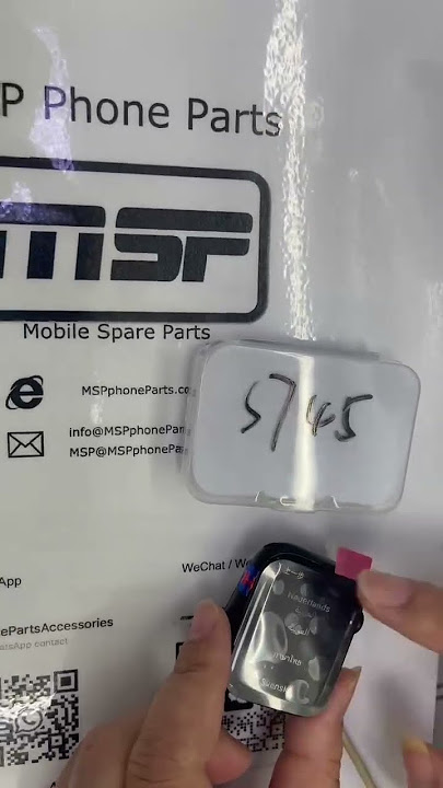 MSPPTSAWS745MMFLORGTKNBV01