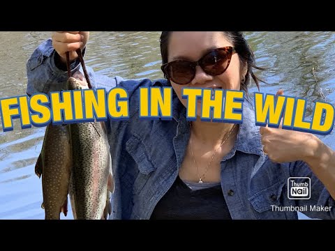 FISHING IN THE WILD