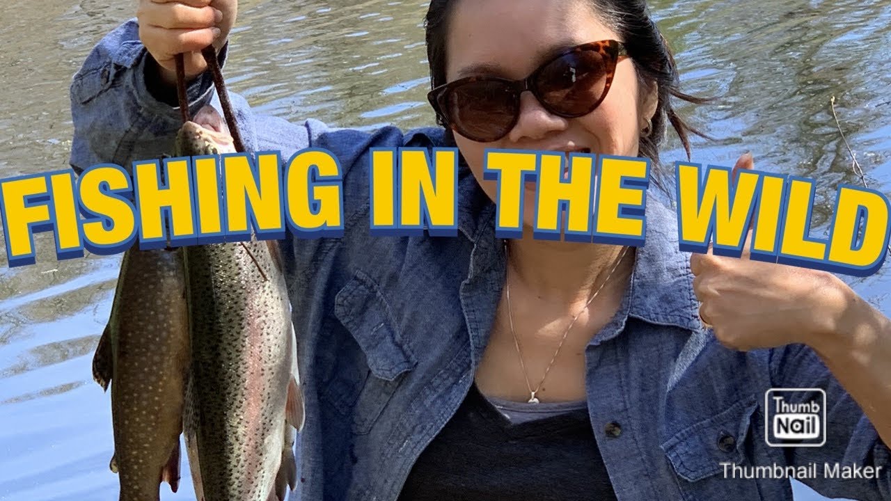 FISHING IN THE WILD YouTube