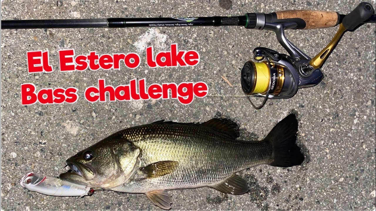 lew's tournament pro g vs shimano curado SS1HG3 Hatch Size:12x48