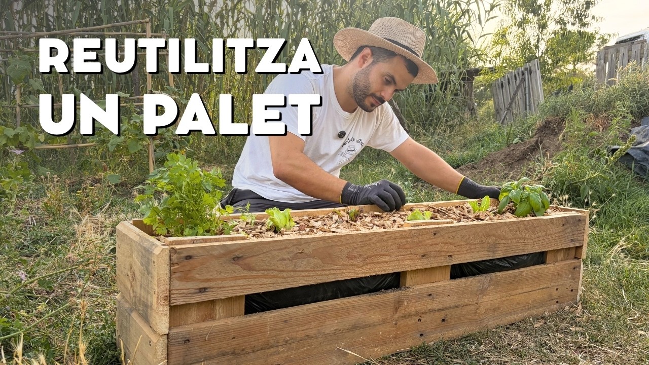 COM FER UN BANCAL AMB UN PALET: Fàcil, econòmic i reutilitzant materials