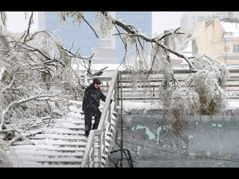 В Приморье за снег на дорогах и скользкие тротуары заплатят управляющие компании