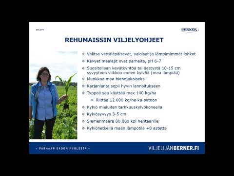 Video: Rukiinjauhoista, Kaurajauhosta, Riisistä, Maissista, Pellavansiemenistä, Speltistä Valmistetut Pannukakut: Vaiheittaiset Reseptit Valokuvilla Ja Videoilla