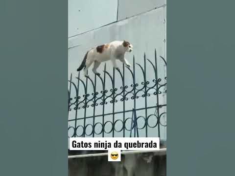 A cara do crime