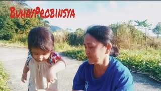 Buhay ko sa probinsya/Bago lang uli nakapag upload ,busy sa pag aalaga ng apo