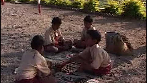 Our School on the Watershed