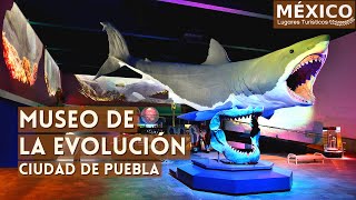 Museo de la Evolución Puebla en 4K | Lugares para Visitar en Puebla