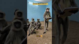 ताजमहल किसने बनाया था😂#comedyrahulvanshi07 #comedy #funny #trending #catoon #monkey #youtube #shorts