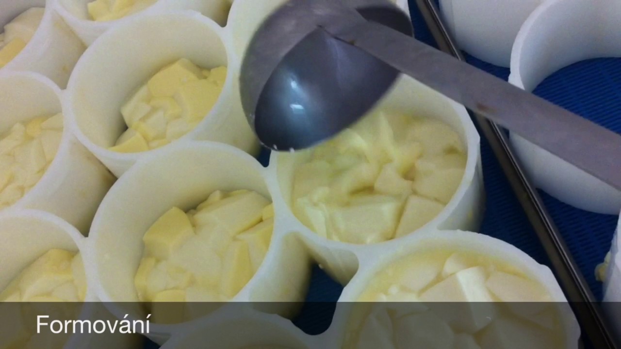 Výroba sýru Camembert