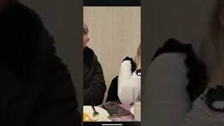 Popovo novi pazar yasar gulcan
