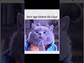 5 minute me subah kaise ho gayi ?😂😺😺🤣🤣☠️👻 #funnycats #cat #shorts