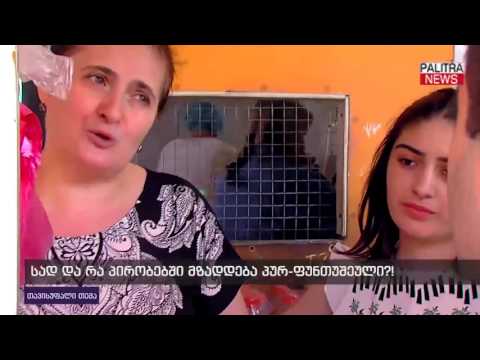 სად და რა პირობებში მზადდება პურ-ფუნთუშეული