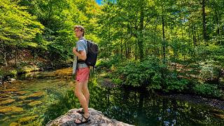 My Last Days Solo Camping in Arkansas