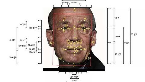 Flickr Photo-Sharing – Controversial AI Facial Recognition Training