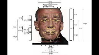 Flickr Photo-Sharing – Controversial AI Facial Recognition Training