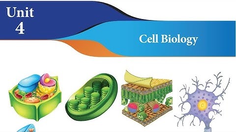 4.Cell Biology (book back answers) 7th std Science/Term -2