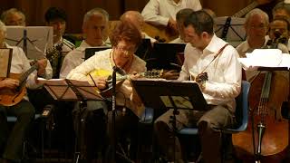 Vivaldi Double Mandolin Concerto in G Major - New York Mandolin Orchestra