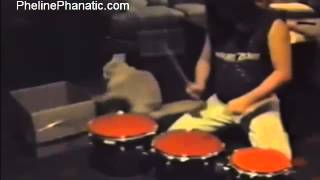 My Cat is a better DRUMMER than your Cat! by Pheline Phanatic 1,805 views 9 years ago 50 seconds