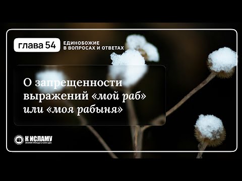 📓 ГЛАВА 54: О запрещенности выражений «мой раб» или «моя рабыня». Единобожие в вопросах и ответах