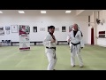 Advanced punching techniques 915 black belts