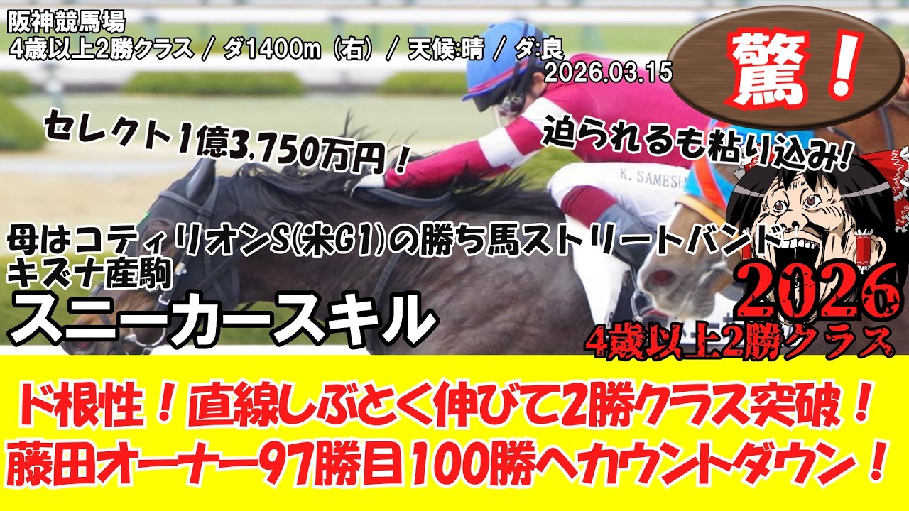 競馬】 驚き！セレクト1億3750万円の良血馬2勝クラス突破！藤田