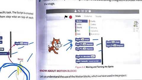 Computer class 3 chapter 6 INTRODUCTION TO SCRATCH PART 3 cyberapps
