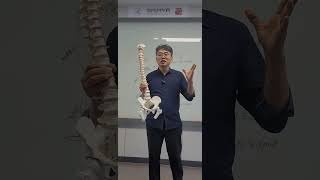 허리 디스크