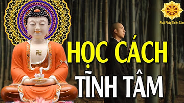 HỌC CÁCH TĨNH TÂM thì trí tuệ càng cao để cuộc sống thanh thản giác ngộ video and sound