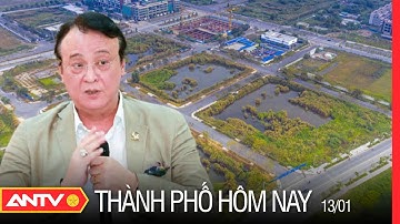 Vụ Bỏ Cọc Đất Thủ Thiêm: Cổ Phiếu Bất Động Sản “Nằm Sàn” La Liệt | Thành Phố Hôm Nay Ngày 13/1
