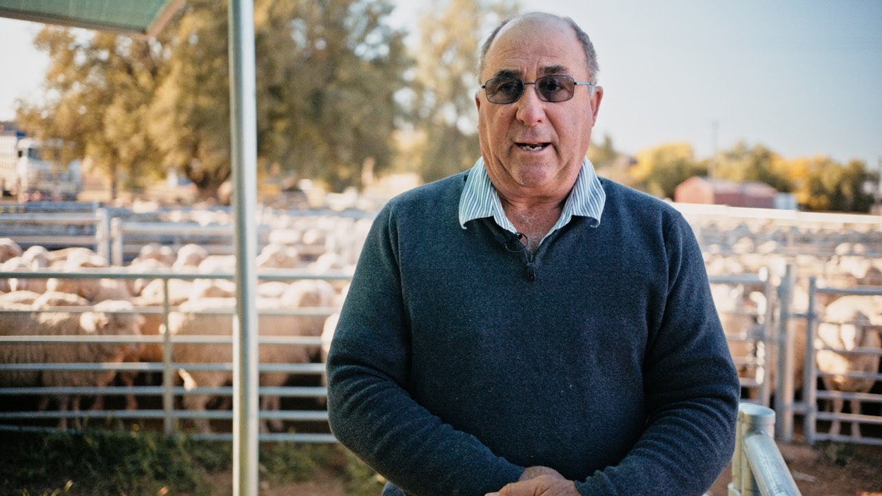 Peter Capel's Gorgeous Sheep Yards.