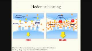 04242014 e TreatmentsForObesity