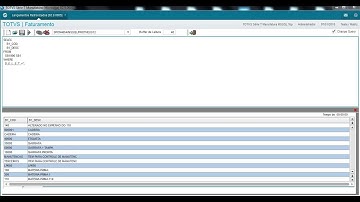 #ERP 142 - Query Analyzer - Protheus - TOTVS
