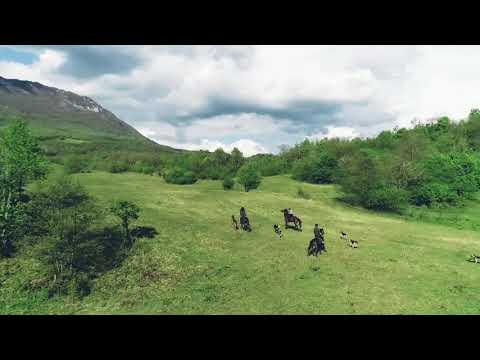 დღნორისა