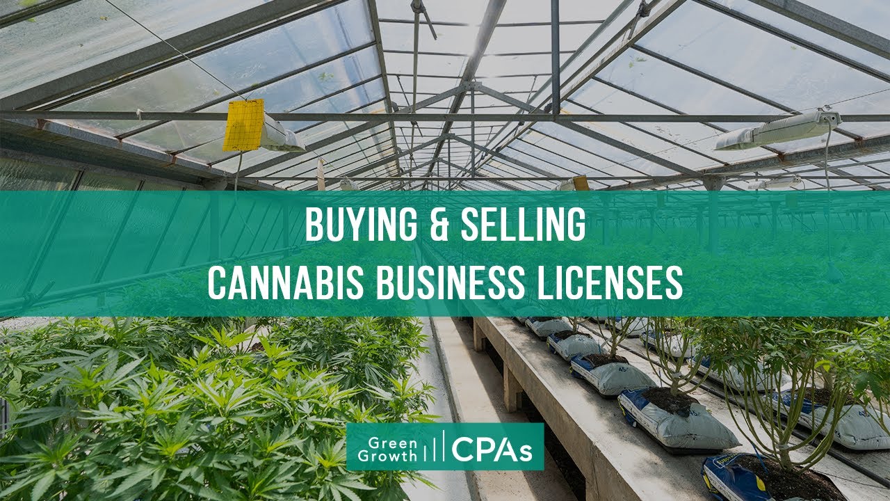 Buying & Selling Cannabis Business Licenses