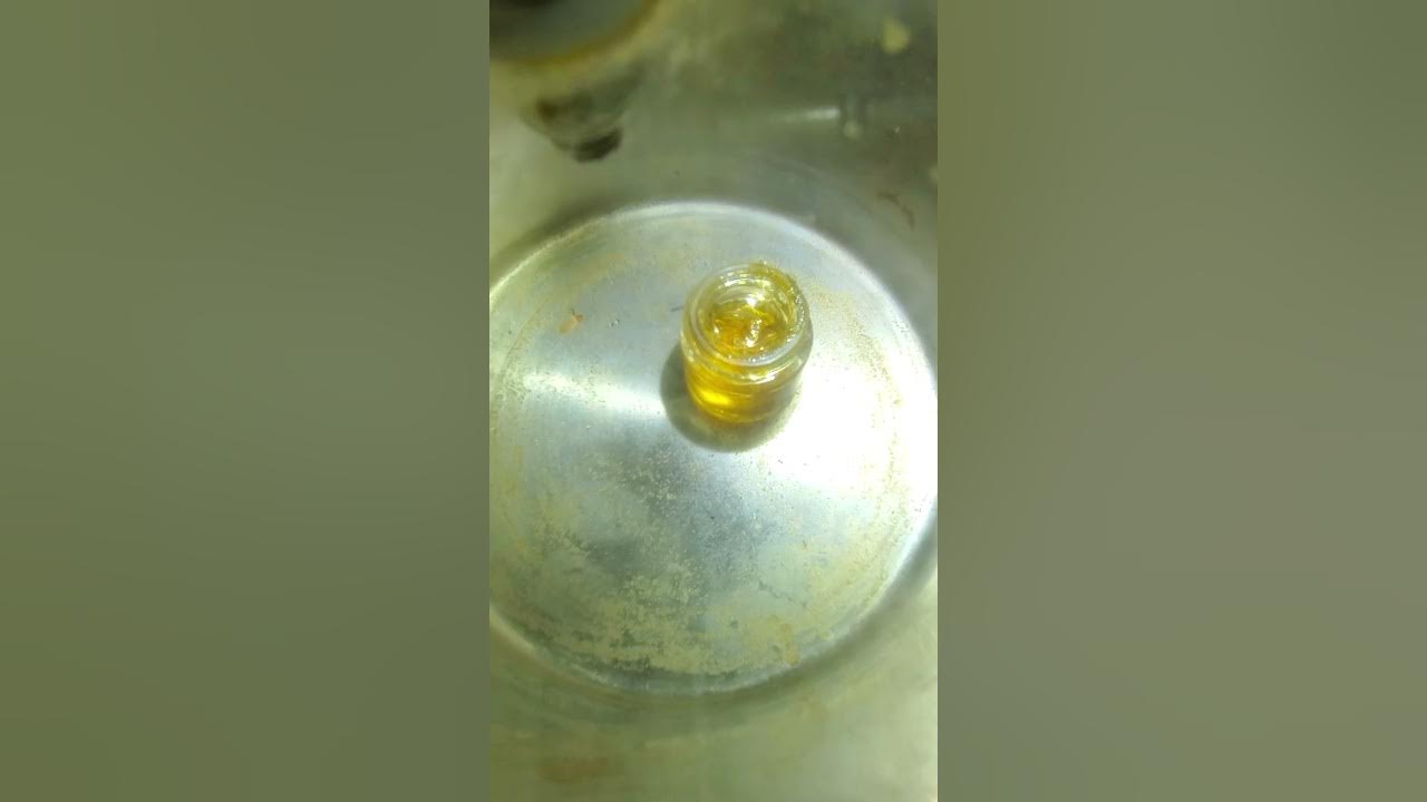 Low Vacuum Test Purge of BHO Live Resin YouTube