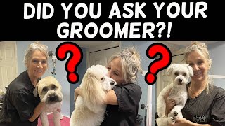 Questions To Ask Your Dog Groomer!