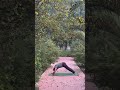 🌞Day 15 – Surya Namaskar Nature Flow | Sun Salutation in Fresh Air |Yoga With Sanjay
