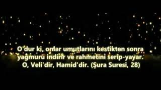 Yağmur Damlasının Türkü Tanıya Özel Güzelliği